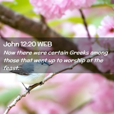 Picture 02 - John 12:20 WEB - Now there were certain Greeks among those that - Bible Verse Picture