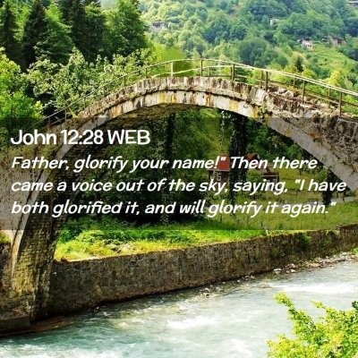 Picture 02 - John 12:28 WEB - Father, glorify your name!