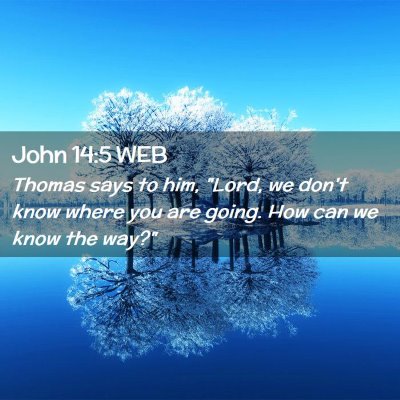 Picture 02 - John 14:5 WEB - Thomas says to him, 