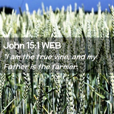 Picture 02 - John 15:1 WEB - 