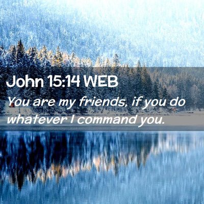 Picture 02 - John 15:14 WEB - You are my friends, if you do whatever I command - Bible Verse Picture