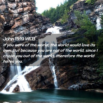 Picture 02 - John 15:19 WEB - If you were of the world, the world would love - Bible Verse Picture