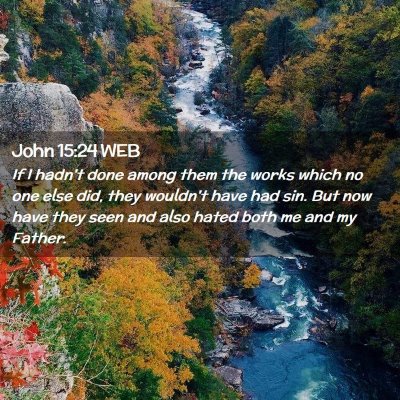 Picture 02 - John 15:24 WEB - If I hadn't done among them the works which no - Bible Verse Picture