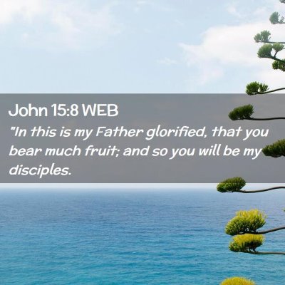 Picture 02 - John 15:8 WEB - 