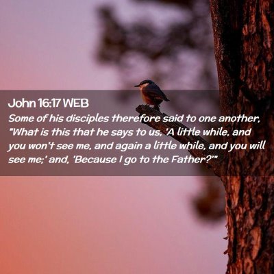 Picture 02 - John 16:17 WEB - Some of his disciples therefore said to one - Bible Verse Picture