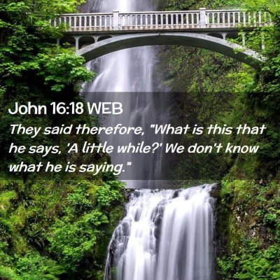 Picture 02 - John 16:18 WEB - They said therefore, 