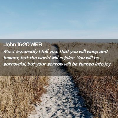 Picture 02 - John 16:20 WEB - Most assuredly I tell you, that you will weep and - Bible Verse Picture