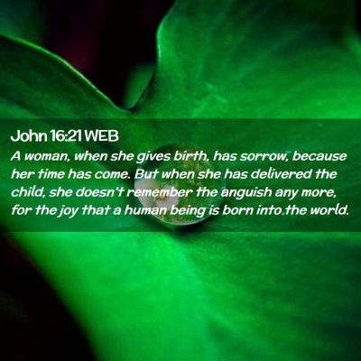Picture 02 - John 16:21 WEB - A woman, when she gives birth, has sorrow, - Bible Verse Picture
