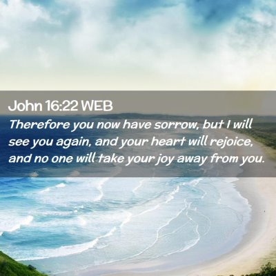 Picture 02 - John 16:22 WEB - Therefore you now have sorrow, but I will see you - Bible Verse Picture