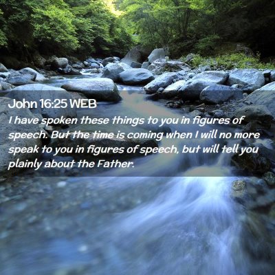 Picture 02 - John 16:25 WEB - I have spoken these things to you in figures of - Bible Verse Picture