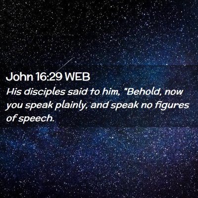 Picture 02 - John 16:29 WEB - His disciples said to him, 