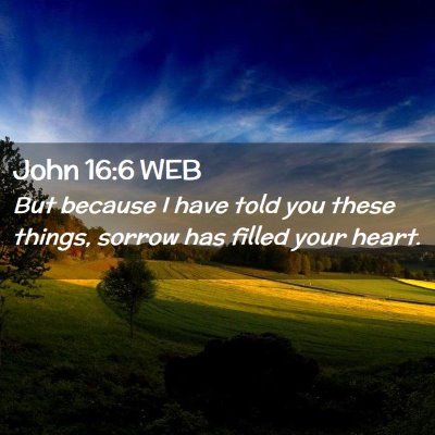 Picture 02 - John 16:6 WEB - But because I have told you these things, sorrow - Bible Verse Picture