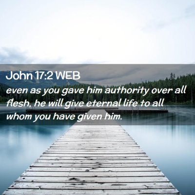 Picture 02 - John 17:2 WEB - even as you gave him authority over all flesh, he - Bible Verse Picture