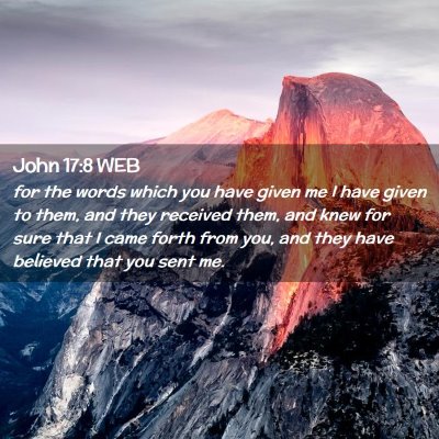 Picture 02 - John 17:8 WEB - for the words which you have given me I have - Bible Verse Picture