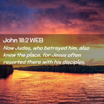 Picture 02 - John 18:2 WEB - Now Judas, who betrayed him, also knew the place, - Bible Verse Picture