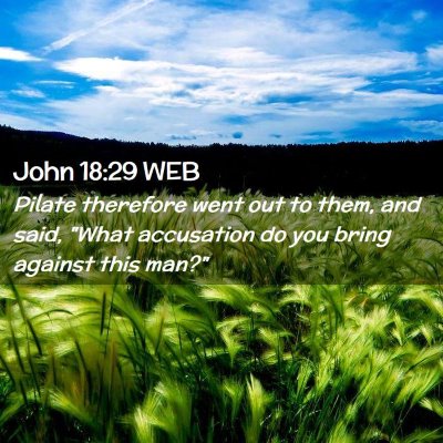 Picture 02 - John 18:29 WEB - Pilate therefore went out to them, and said, - Bible Verse Picture