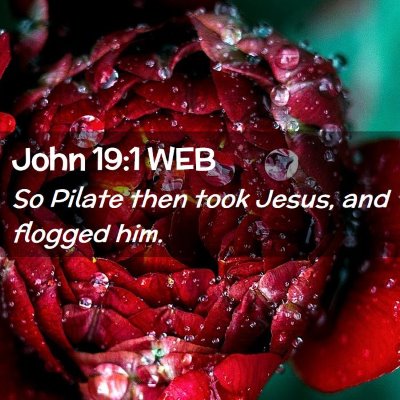 Picture 02 - John 19:1 WEB - So Pilate then took Jesus, and flogged - Bible Verse Picture