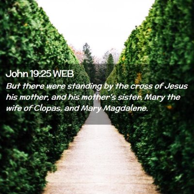 Picture 02 - John 19:25 WEB - But there were standing by the cross of Jesus his - Bible Verse Picture