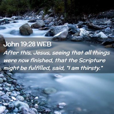 Picture 02 - John 19:28 WEB - After this, Jesus, seeing that all things were - Bible Verse Picture