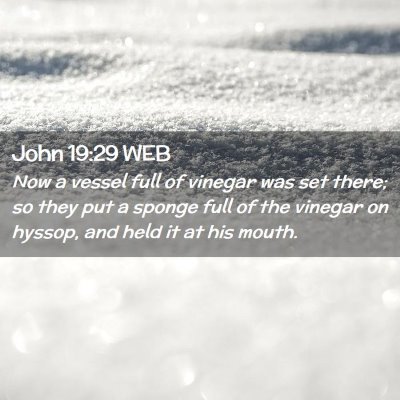 Picture 02 - John 19:29 WEB - Now a vessel full of vinegar was set there; so - Bible Verse Picture