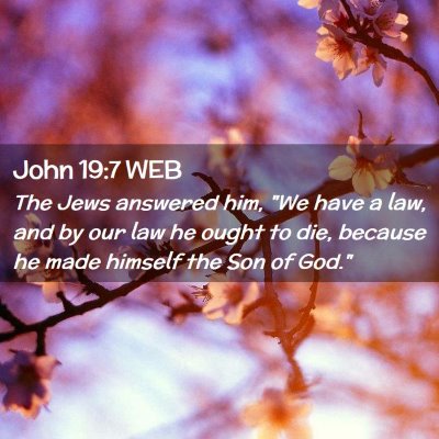 Picture 02 - John 19:7 WEB - The Jews answered him, 