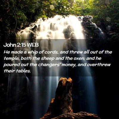 Picture 02 - John 2:15 WEB - He made a whip of cords, and threw all out of the - Bible Verse Picture