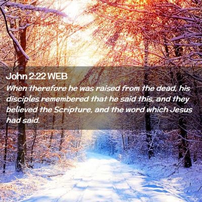 Picture 02 - John 2:22 WEB - When therefore he was raised from the dead, his - Bible Verse Picture