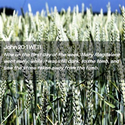 Picture 02 - John 20:1 WEB - Now on the first day of the week, Mary Magdalene - Bible Verse Picture