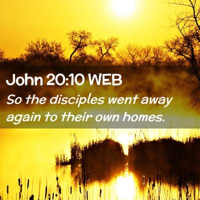 Picture 02 - John 20:10 WEB - So the disciples went away again to their own - Bible Verse Picture