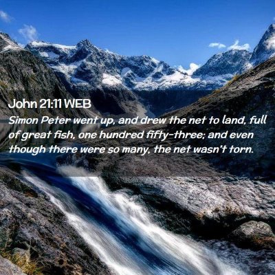 Picture 02 - John 21:11 WEB - Simon Peter went up, and drew the net to land, - Bible Verse Picture