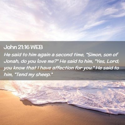 Picture 02 - John 21:16 WEB - He said to him again a second time, 