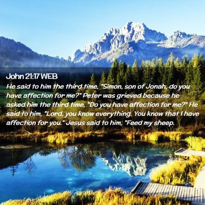 Picture 02 - John 21:17 WEB - He said to him the third time, 