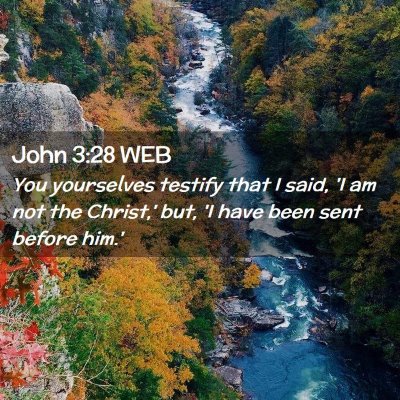 Picture 02 - John 3:28 WEB - You yourselves testify that I said, 'I am not the - Bible Verse Picture