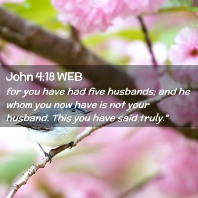 Picture 02 - John 4:18 WEB - for you have had five husbands; and he whom you - Bible Verse Picture
