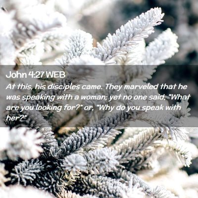 Picture 02 - John 4:27 WEB - At this, his disciples came. They marveled that - Bible Verse Picture