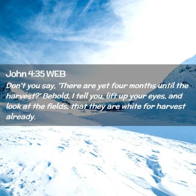 Picture 02 - John 4:35 WEB - Don't you say, 'There are yet four months until - Bible Verse Picture