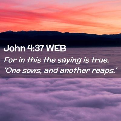 Picture 02 - John 4:37 WEB - For in this the saying is true, 'One sows, and - Bible Verse Picture