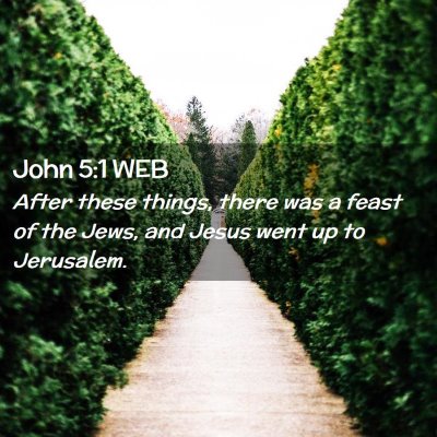 Picture 02 - John 5:1 WEB - After these things, there was a feast of the - Bible Verse Picture