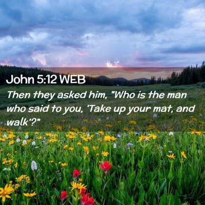 Picture 02 - John 5:12 WEB - Then they asked him, 