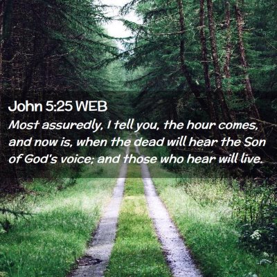Picture 02 - John 5:25 WEB - Most assuredly, I tell you, the hour comes, and - Bible Verse Picture