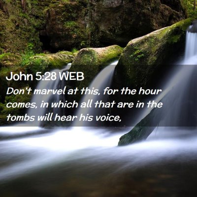 Picture 02 - John 5:28 WEB - Don't marvel at this, for the hour comes, in - Bible Verse Picture