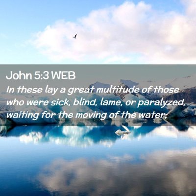 Picture 02 - John 5:3 WEB - In these lay a great multitude of those who were - Bible Verse Picture