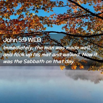 Picture 02 - John 5:9 WEB - Immediately, the man was made well, and took up - Bible Verse Picture