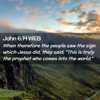 Picture 02 - John 6:14 WEB - When therefore the people saw the sign which - Bible Verse Picture