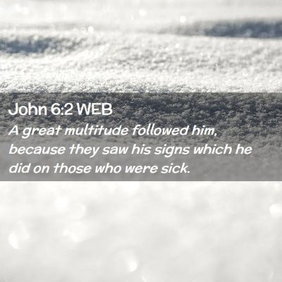Picture 02 - John 6:2 WEB - A great multitude followed him, because they saw - Bible Verse Picture
