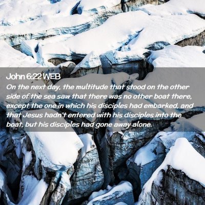 Picture 02 - John 6:22 WEB - On the next day, the multitude that stood on the - Bible Verse Picture
