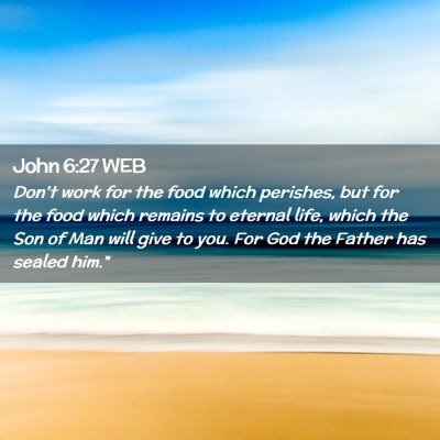 Picture 02 - John 6:27 WEB - Don't work for the food which perishes, but for - Bible Verse Picture