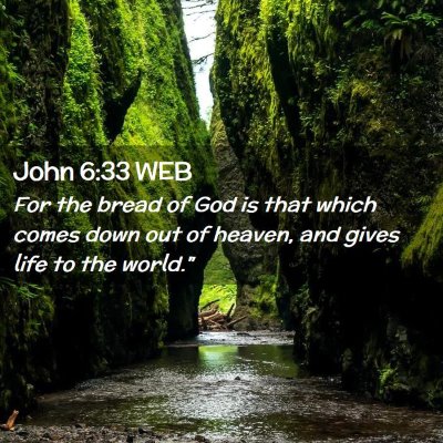 Picture 02 - John 6:33 WEB - For the bread of God is that which comes down out - Bible Verse Picture