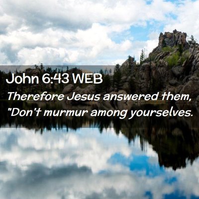 Picture 02 - John 6:43 WEB - Therefore Jesus answered them, 