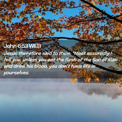 Picture 02 - John 6:53 WEB - Jesus therefore said to them, 